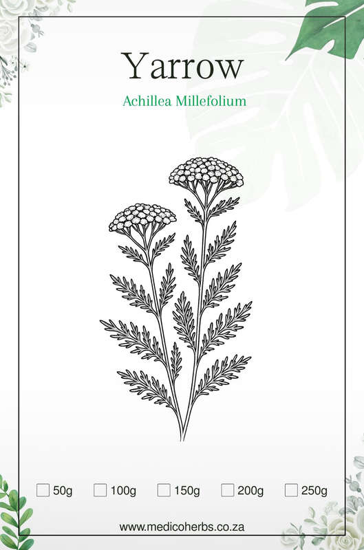 Yarrow Tea 200g