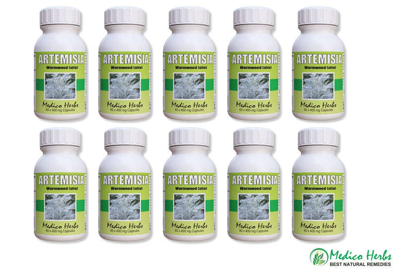 Artemisia Afra African Wormwood 10 bottle 60 x 400mg Capsules