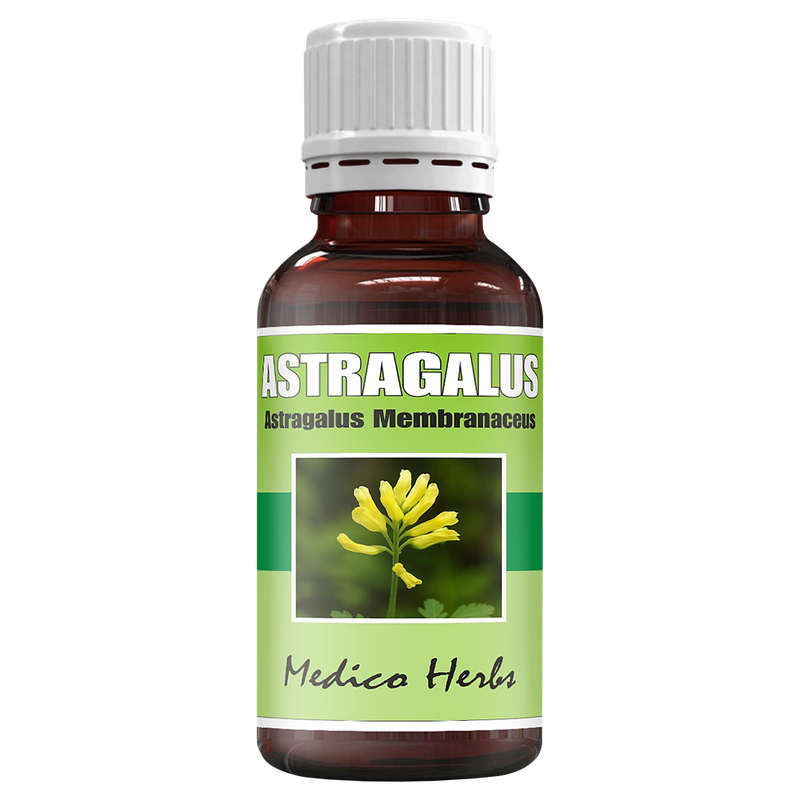 Astragalus Drops (Astragalus Membranaceus) 50ml