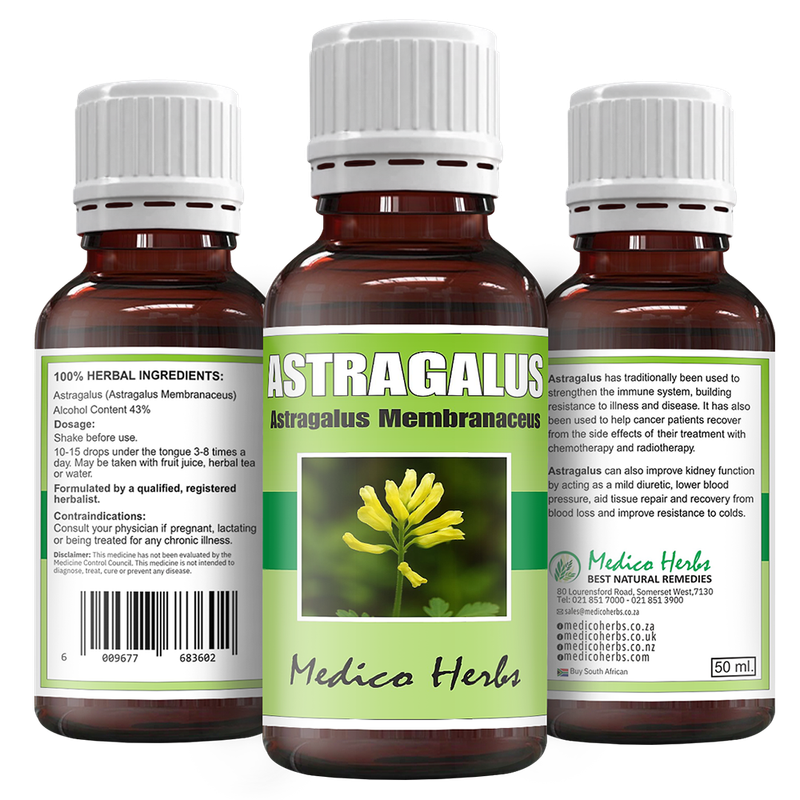 Astragalus Drops (Astragalus Membranaceus) 50ml