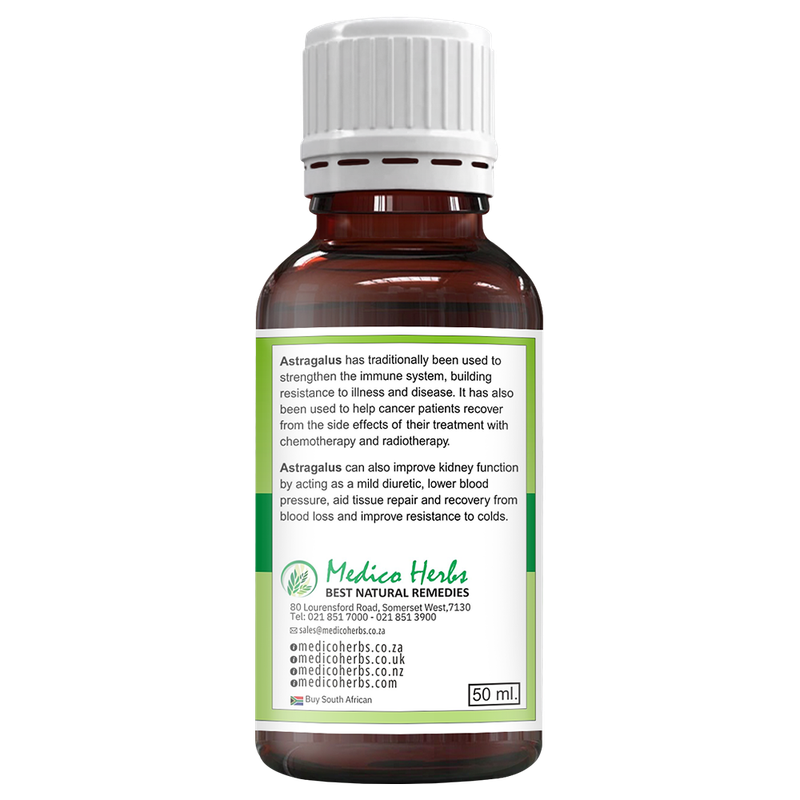 Astragalus Drops (Astragalus Membranaceus) 50ml