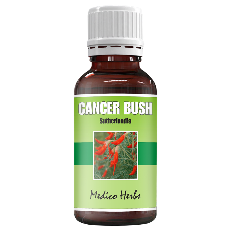 Cancer Bush Drops (Sutherlandia Frutescens) 50ml