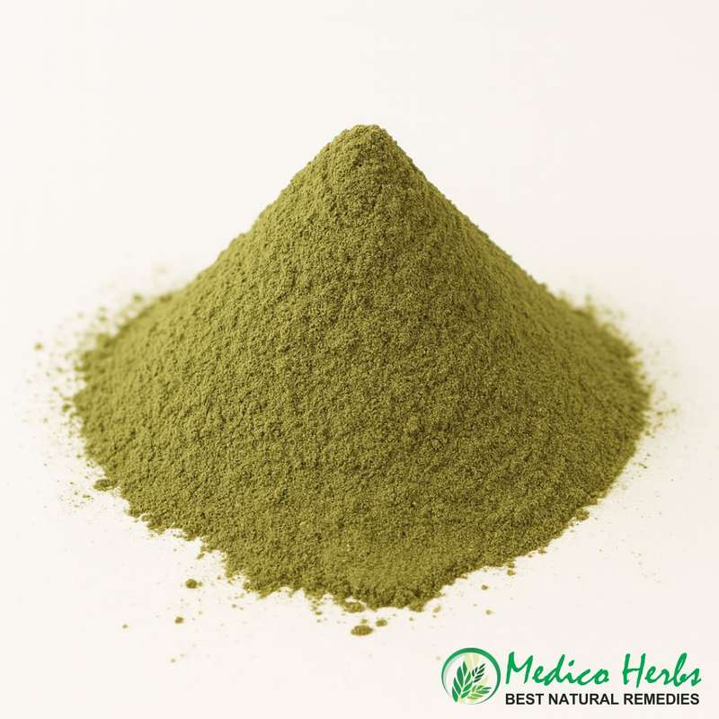 Ginkgo 500g Powder