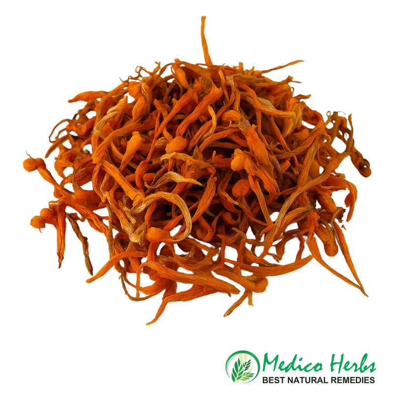 Leonotis Leonurus Wild Dagga Petals 50gr