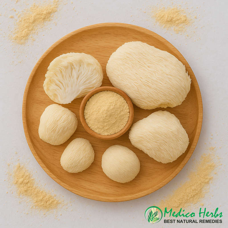 Lion's Mane Extract 1 Kg