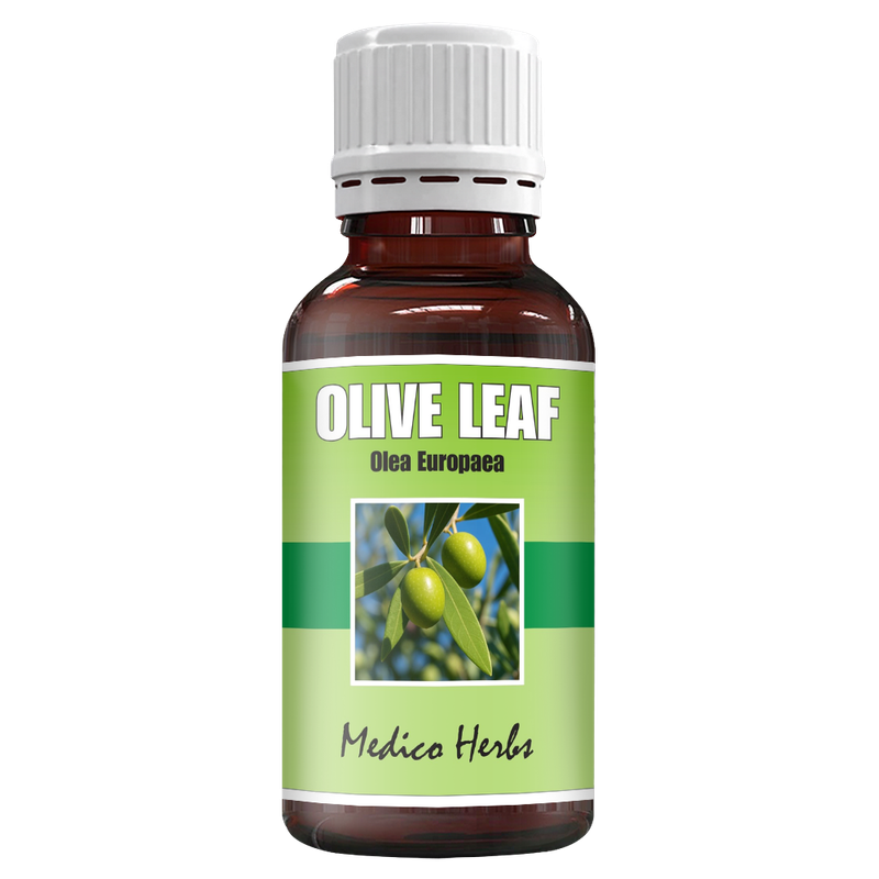 Olive Leaf Cold Pressed Drops (Olea Europaea) 50ml