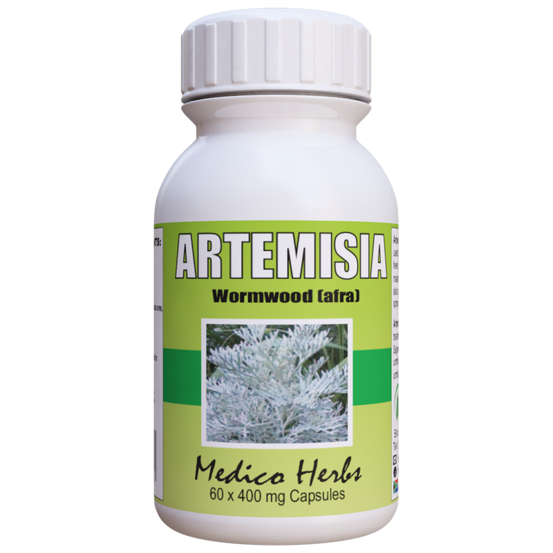 Artemisia Afra African Wormwood malaria immune 60 x 400mg Capsules