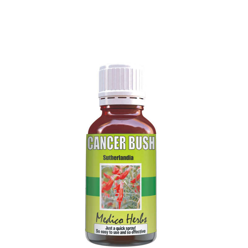 Cancer Bush (Sutherlandia Frutescens) Bulk 500 ml.