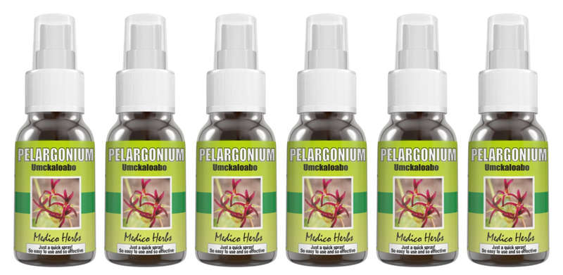 Pelargonium Sidoides Umckaloabo Spray buy 6 x 50ml