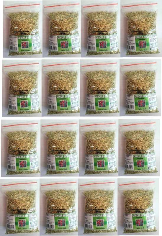 Cancer Bush Tea Sutherlandia Frutescens pack 20 x 50gr.