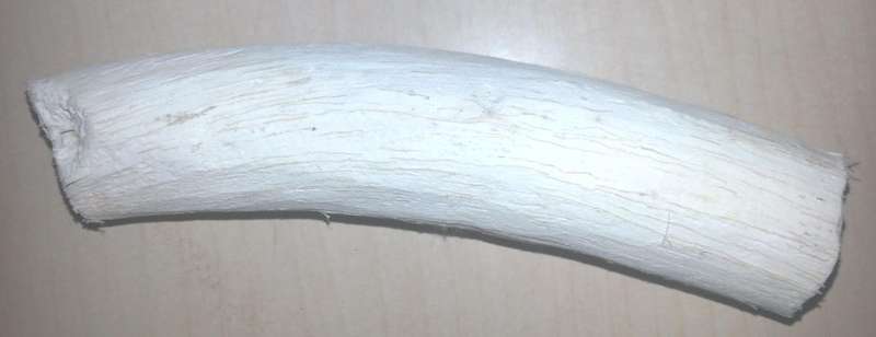 Uvuma-omhlope Synaptolepis Kirkii root 450g 1lb