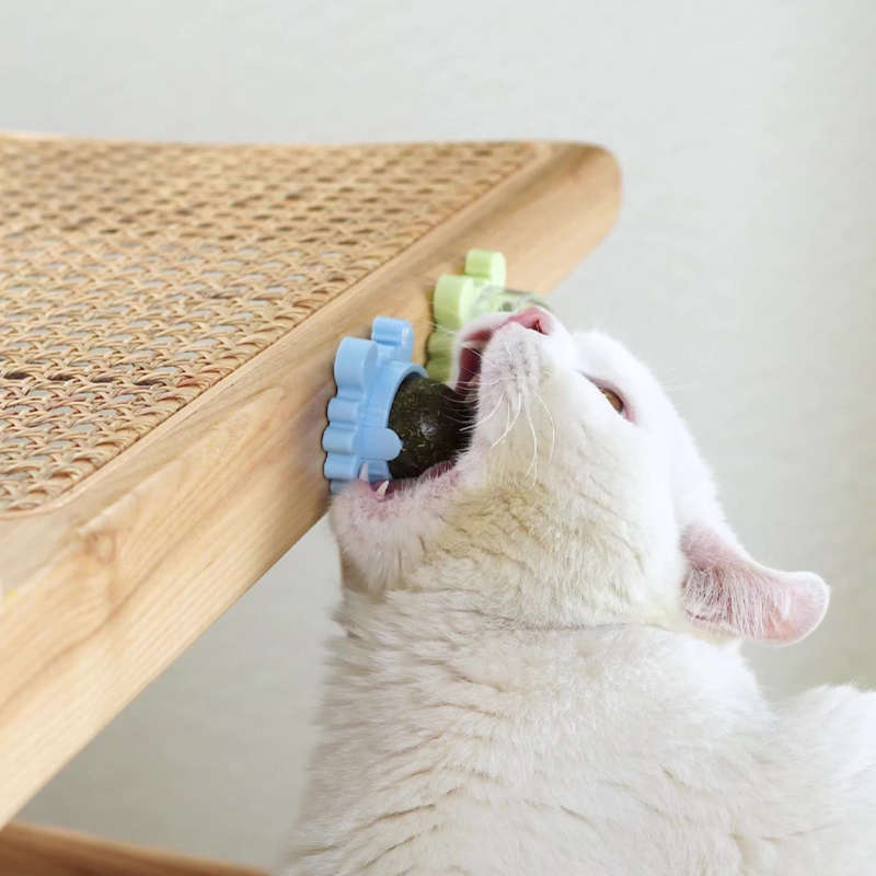 Jolball  Catnip Ball | Keep your cats happy & healthy