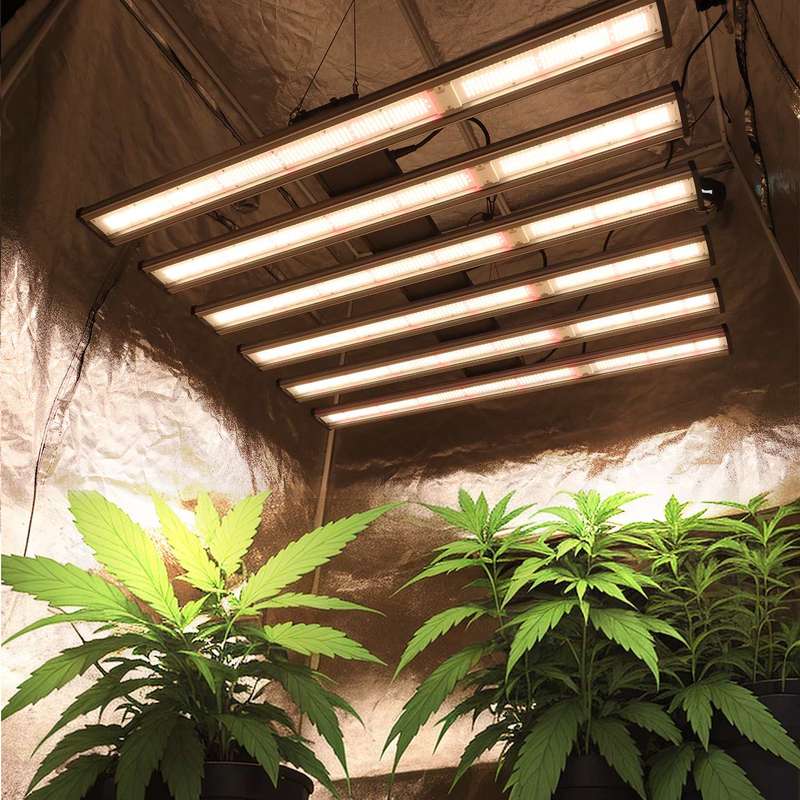 1000W Full Spectrum LED Grow Lights | High Efficiency Plant Grow Light with SAMSUNG 281B...