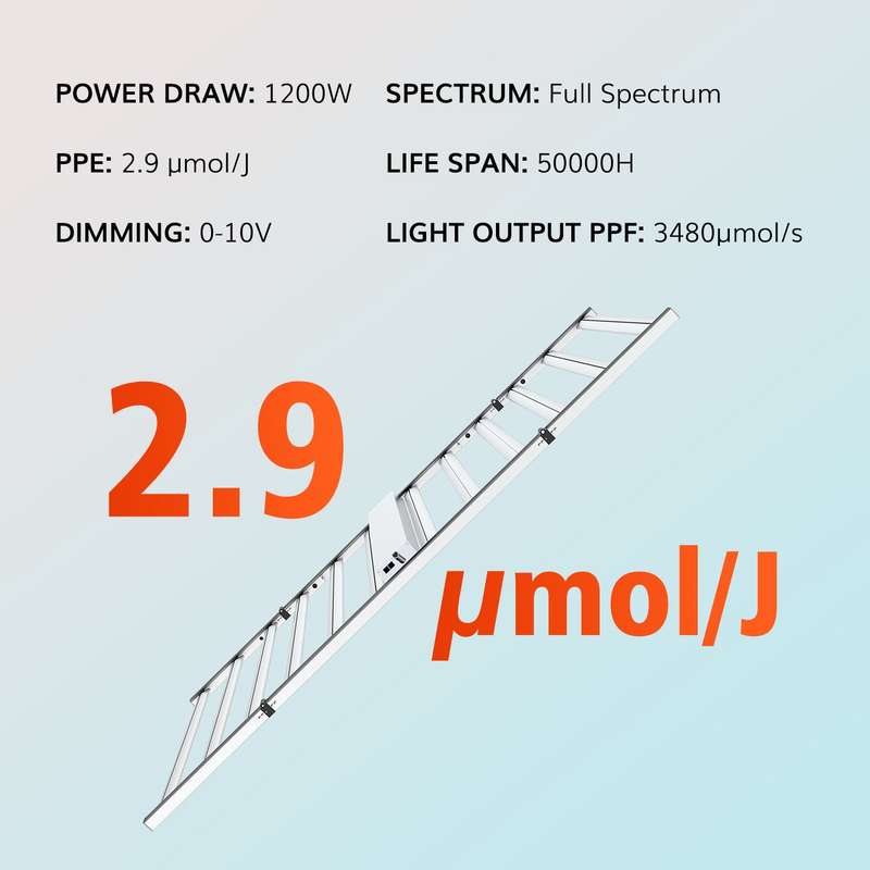1200w LED grow light