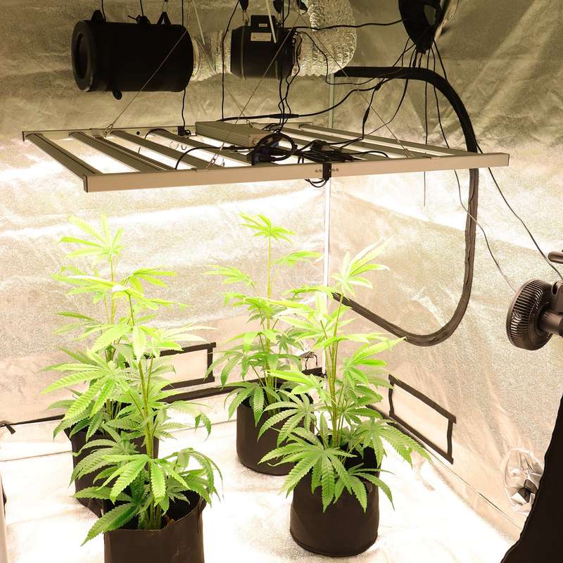 ! 800W LED Grow Light & Grow Tent Kit  SAVE R600-TheOneGrow