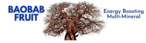 Baobab Fruit Digestion and Fatigue Fighter