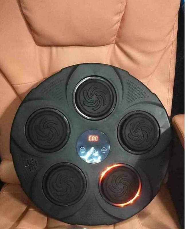 Smart Music Boxing Target