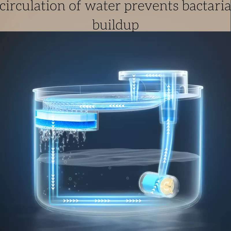 Automatic Pet Water Feeder for Dogs and Cats. 3L Capacity with Water Filter | Runs Silently and Kill