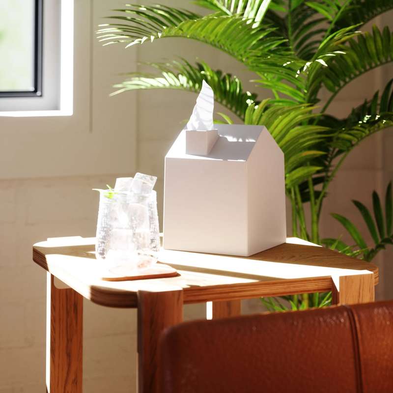 Casa Tissue Box