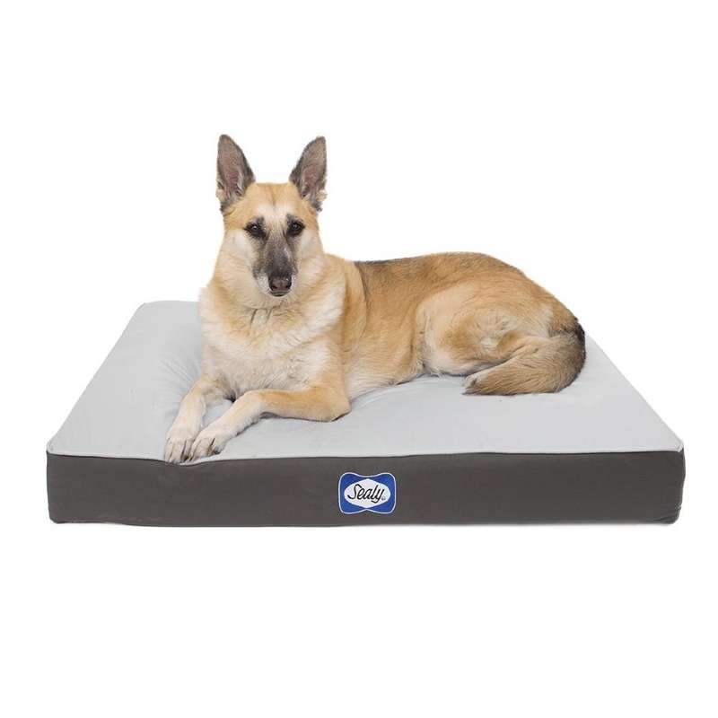 Sealy Defender Series Orthopaedic Dog Bed - Medium / Navy