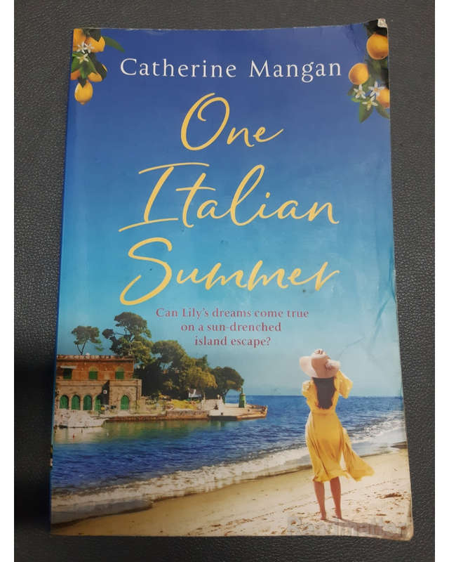 One Italian Summer Mangan, Catherine