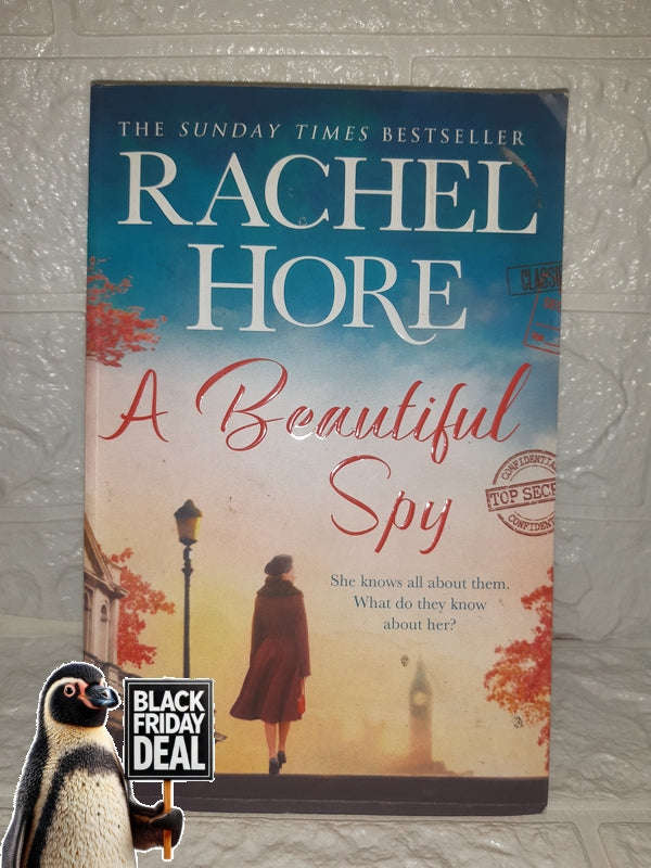 A Beautiful Spy (Rachel Hore)