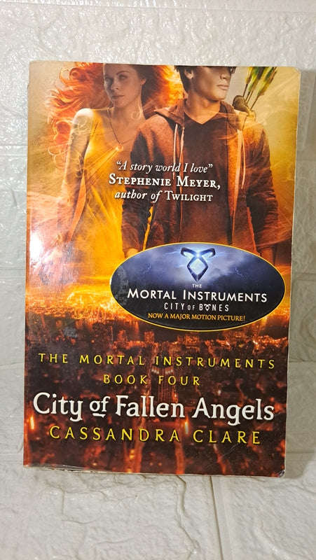 City Of Fallen Angels (Cassandra Clare)