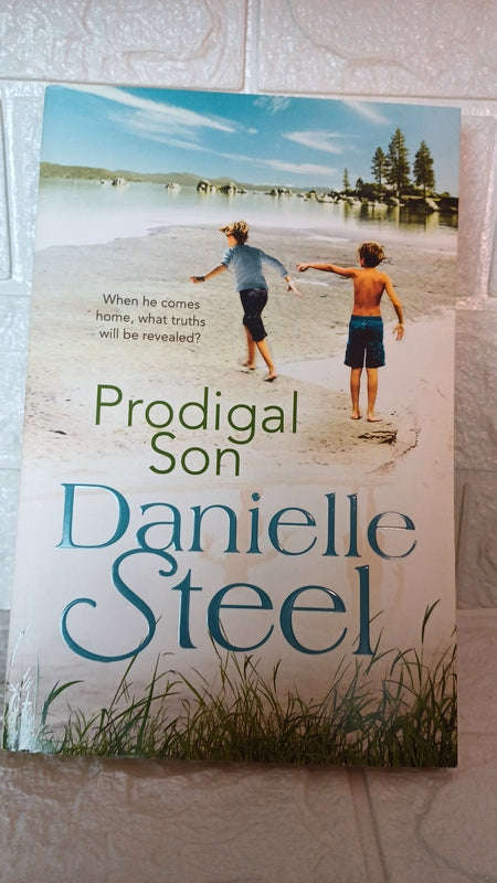 Prodigal Son (Danielle Steel)
