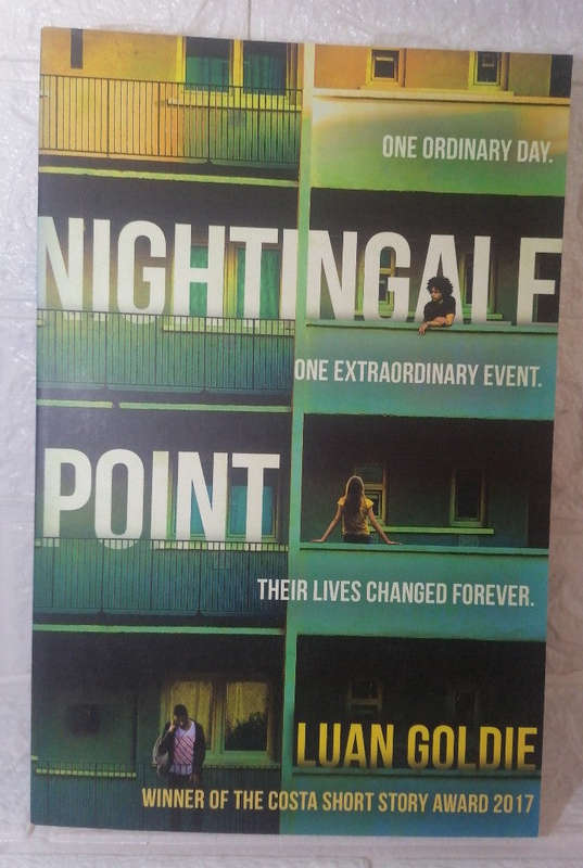 Nightingale Point (Luan Goldie)