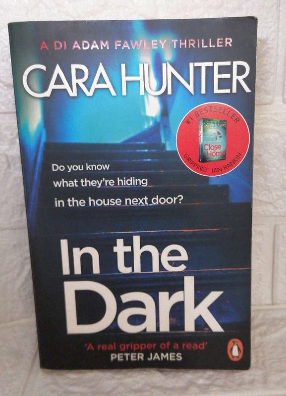 In the Dark (DI Adam Fawley, #2) (Cara Hunter )