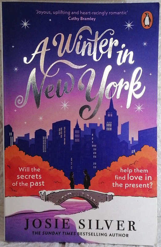 A Winter in New York (Josie Silver)