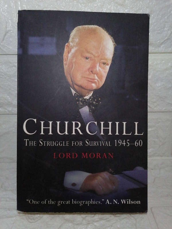 Churchill: The Struggle for Survival 1945-60 (Charles Wilson)