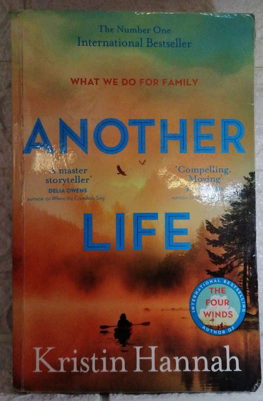 Another Life (Kristin Hannah)