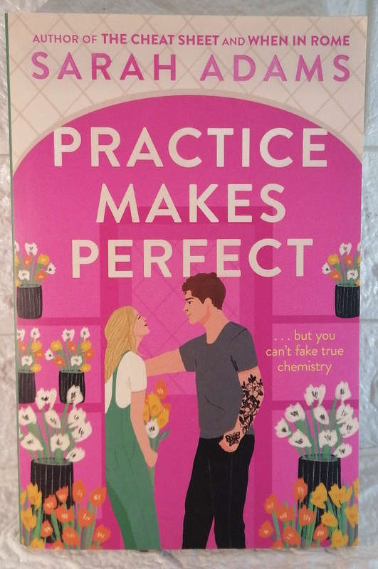 Practice Makes Perfect (When in Rome, #2) (Sarah Adams)