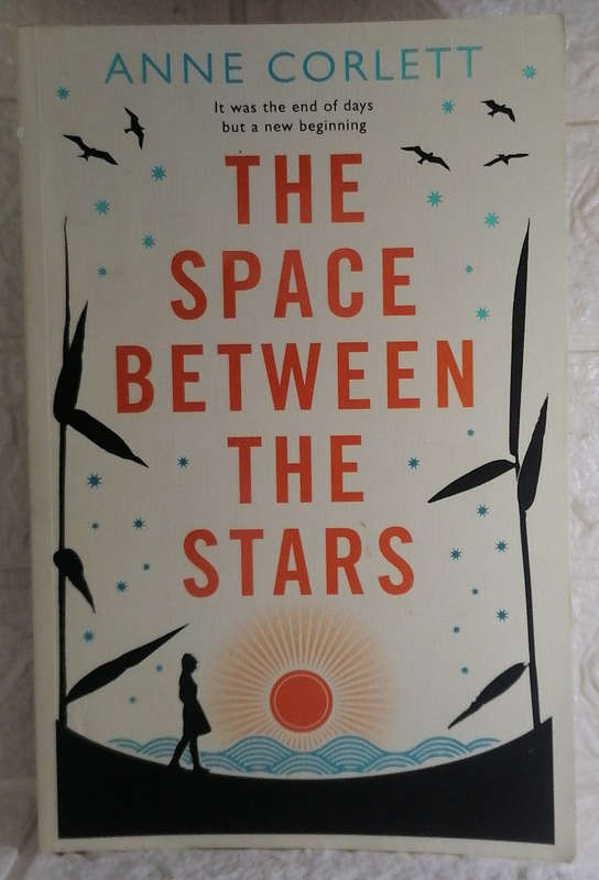 The Space Between the Stars (Anne Corlett)