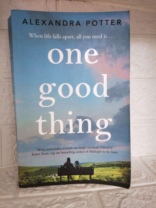 One Good Thing (Alexandra Potter )