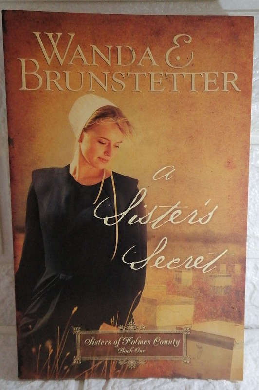 A Sister's Secret (Sisters of Holmes County, #1) (Wanda E. Brunstetter)