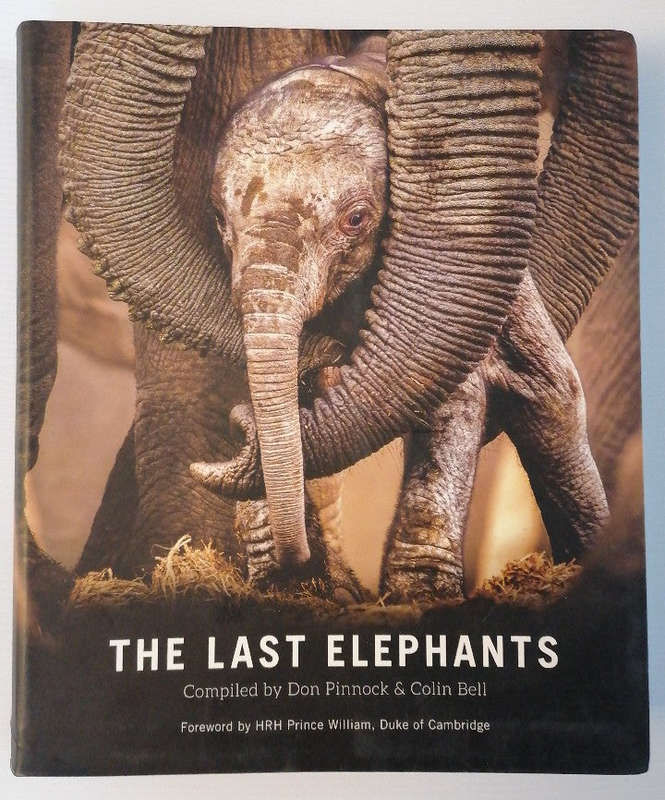 The Last Elephants (Colin Pinnock)