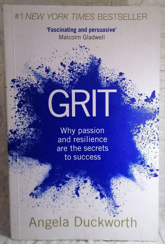 Grit: Why passion and resilience are the secrets to success (Angela Duckworth)