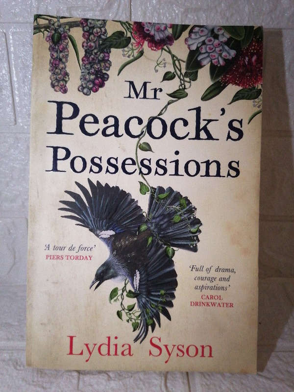 Mr Peacock's Possessions (Lydia Syson)