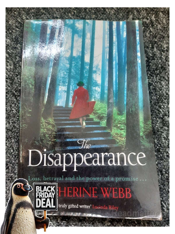 The Disappearance Katherine Webb