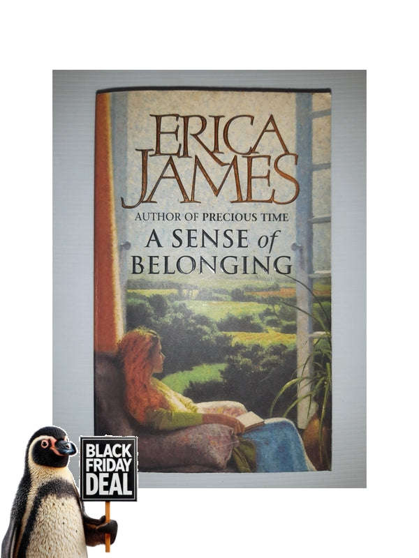 A Sense Of Belonging Erica James