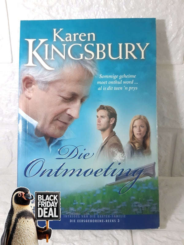 Die Ontmoeting Karen Kingsbury