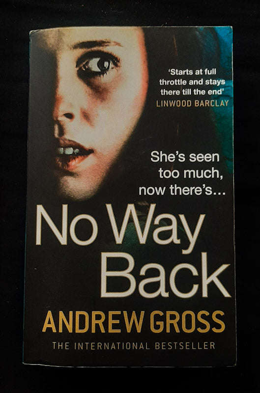 No Way Back (Andrew Gross)