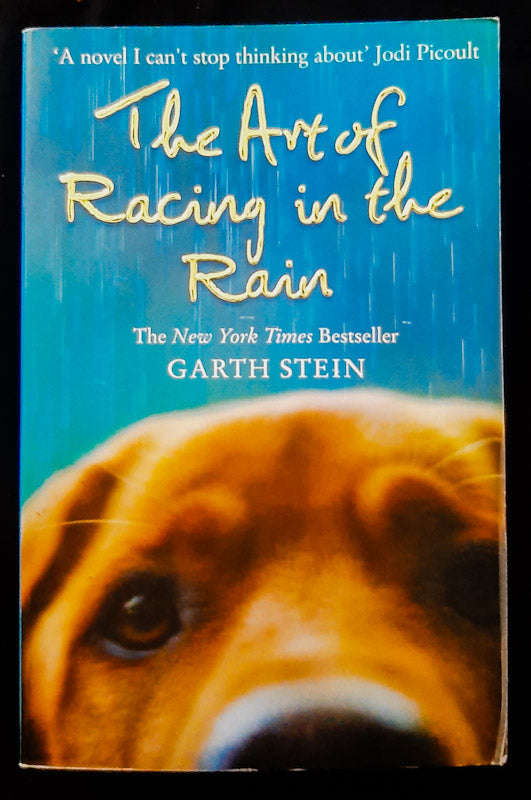 The Art Of Racing In The Rain (Dave Manak)