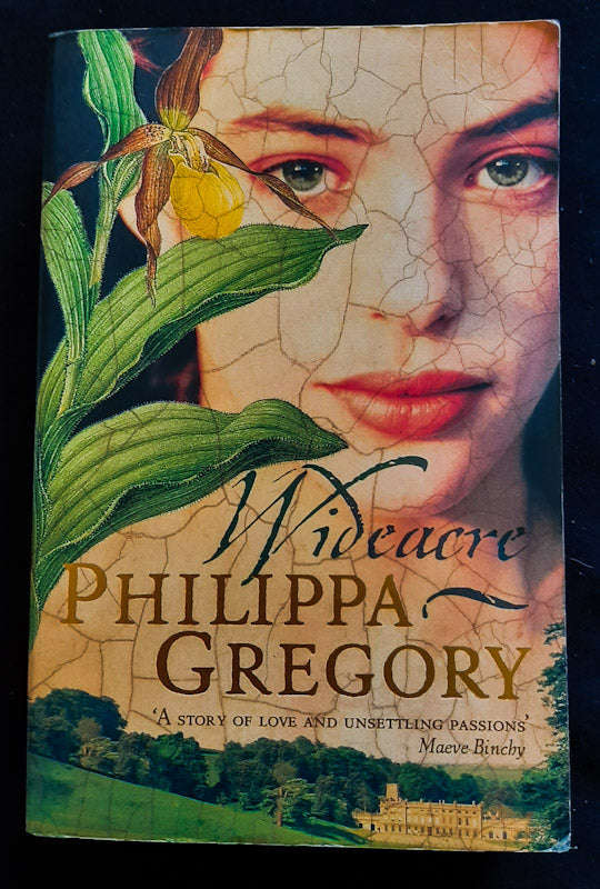Wideacre (Wideacre #1) (Philippa Gregory)