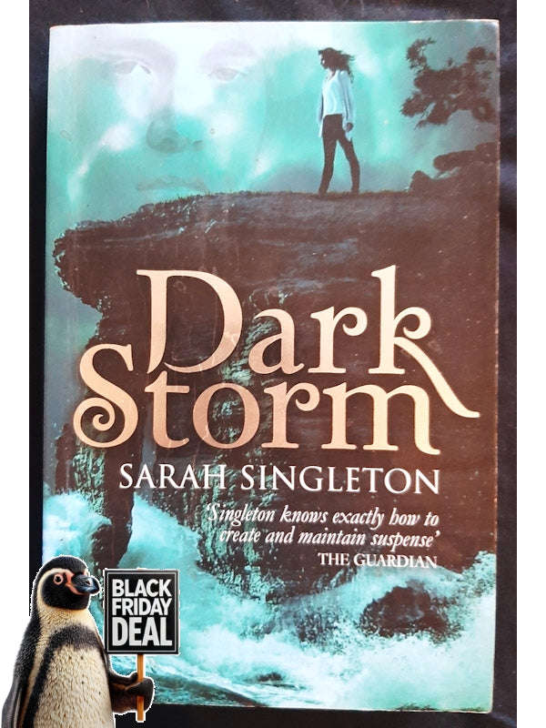 Dark Storm (Singleton, Sarah)