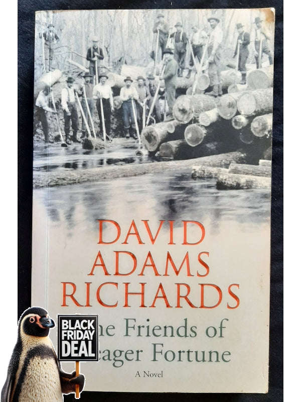 The Friends Of Meager Fortune (Richards, David)