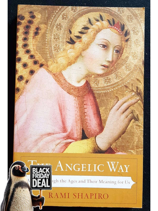 The Angelic Way: Angels Through The Ages And Their Meaning For Us (Shapiro, Rami)