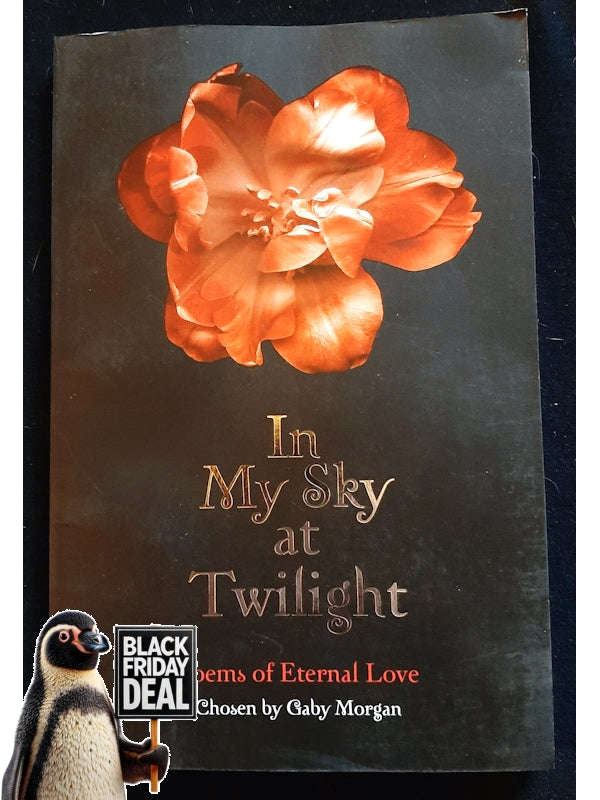 In My Sky At Twilight: Poems Of Eternal Love (Morgan, Gaby)